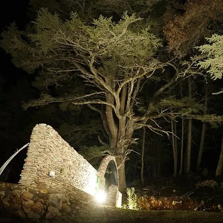 Stone Fethiye