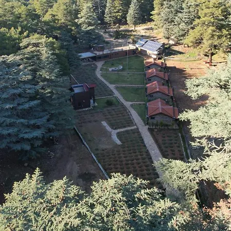 Stone Villa